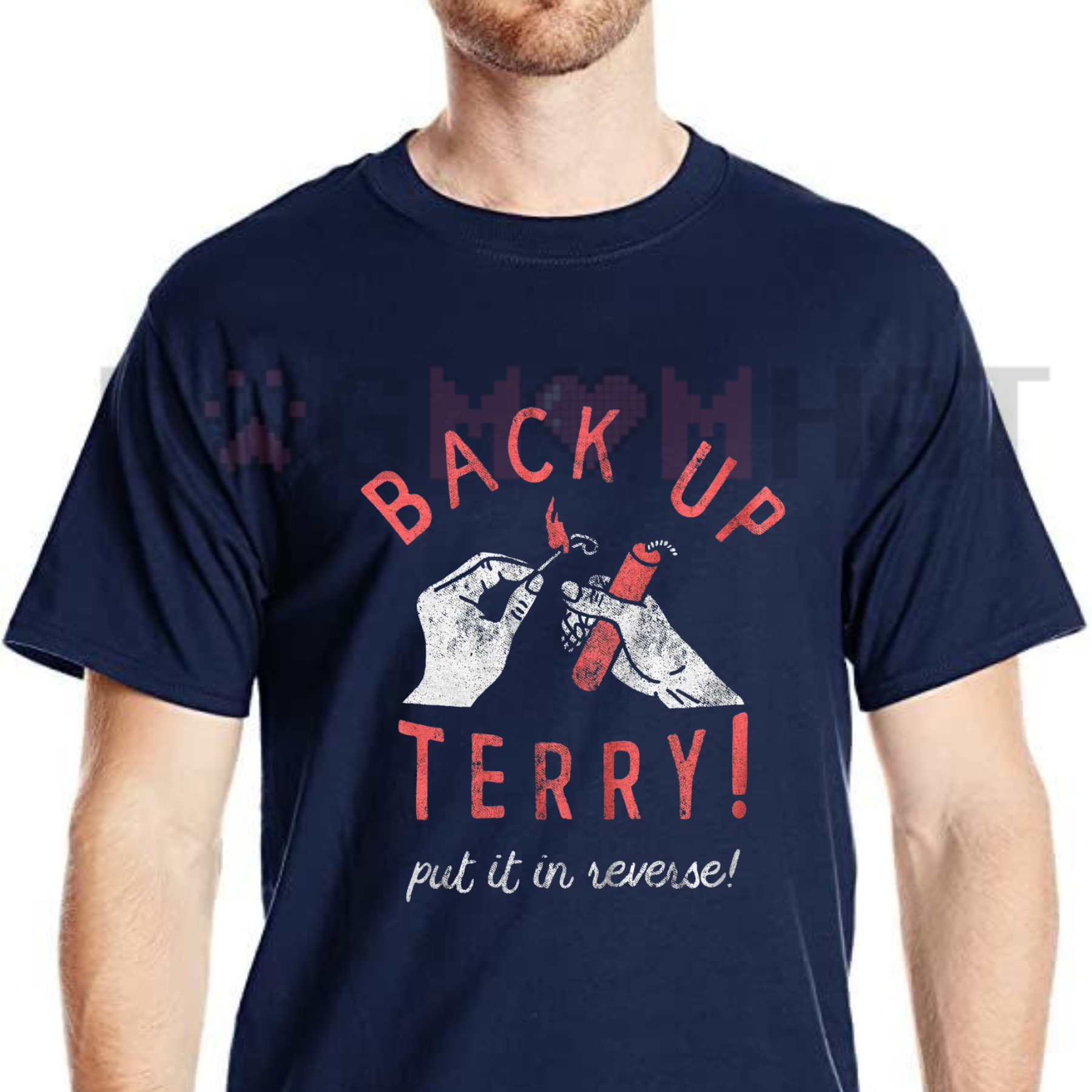 "Back Up Terry" Funny Sarcastic Fireworks T-Shirt