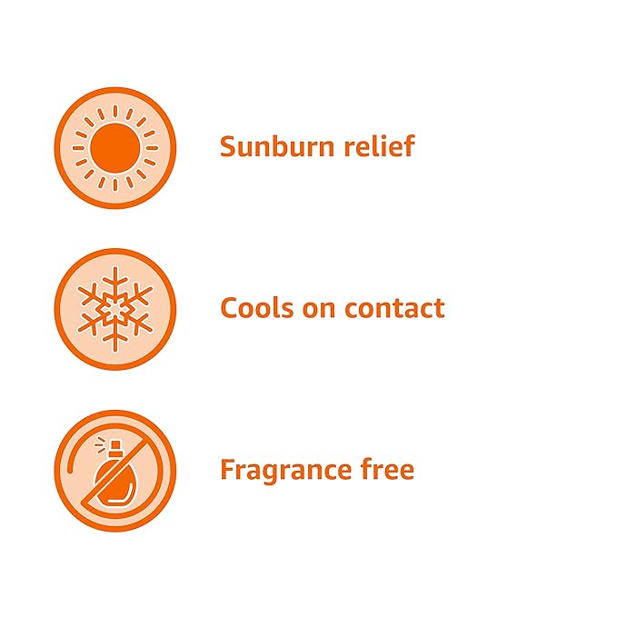 Amazon Basics Sunburn Relief Gel with Aloe Vera, 8 oz (Pack of 1) (Previously Solimo)