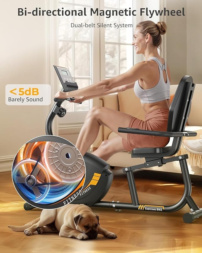 JEEKEE Recumbent Exercise Bike for Seniors,Stationary Bikes for Home, 300LB Capacity & 16 Levels Magnetic Resistance, Heart Rate Handle