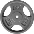 Yes4All Standard 1-Inch Grip Weight Plates, Cast Iron with Multiple Sizes from 2.5 lb to 35 lb for Strength Training, Weightlifting & Muscle Toning